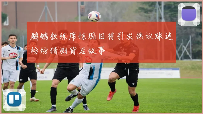 鹈鹕教练席惊现旧将引发热议球迷纷纷猜测背后故事