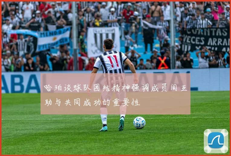 哈珀谈球队团结精神强调成员间互助与共同成功的重要性