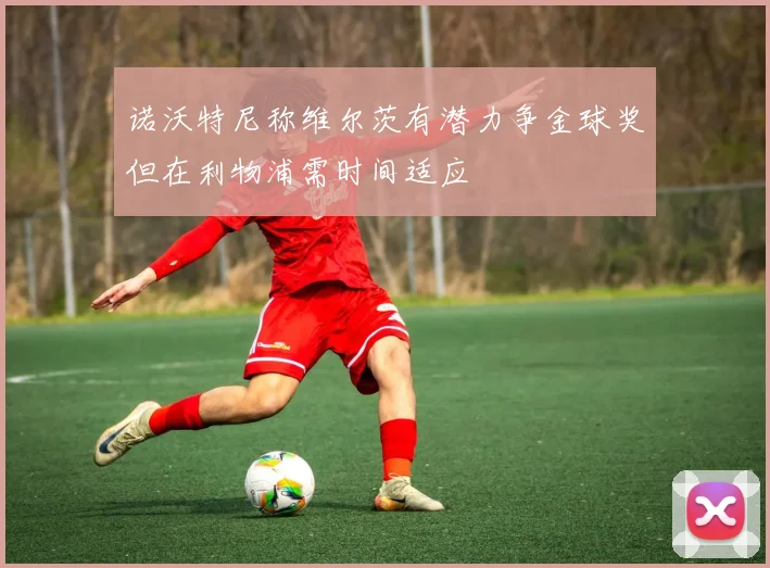 诺沃特尼称维尔茨有潜力争金球奖但在利物浦需时间适应