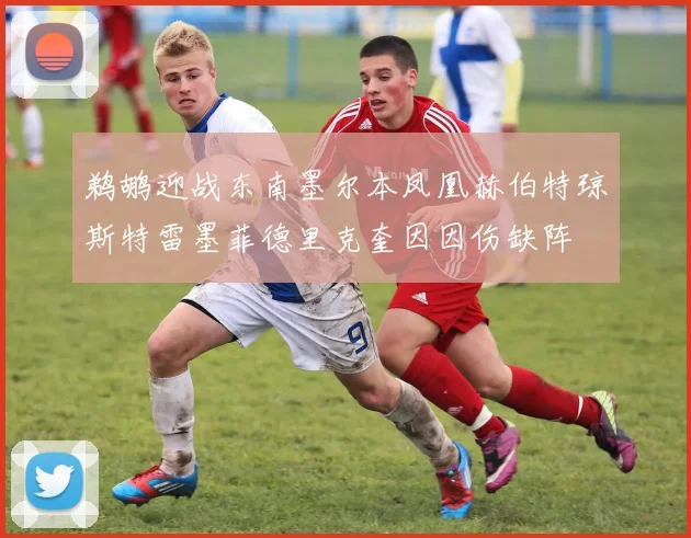 鹈鹕迎战东南墨尔本凤凰赫伯特琼斯特雷墨菲德里克奎因因伤缺阵